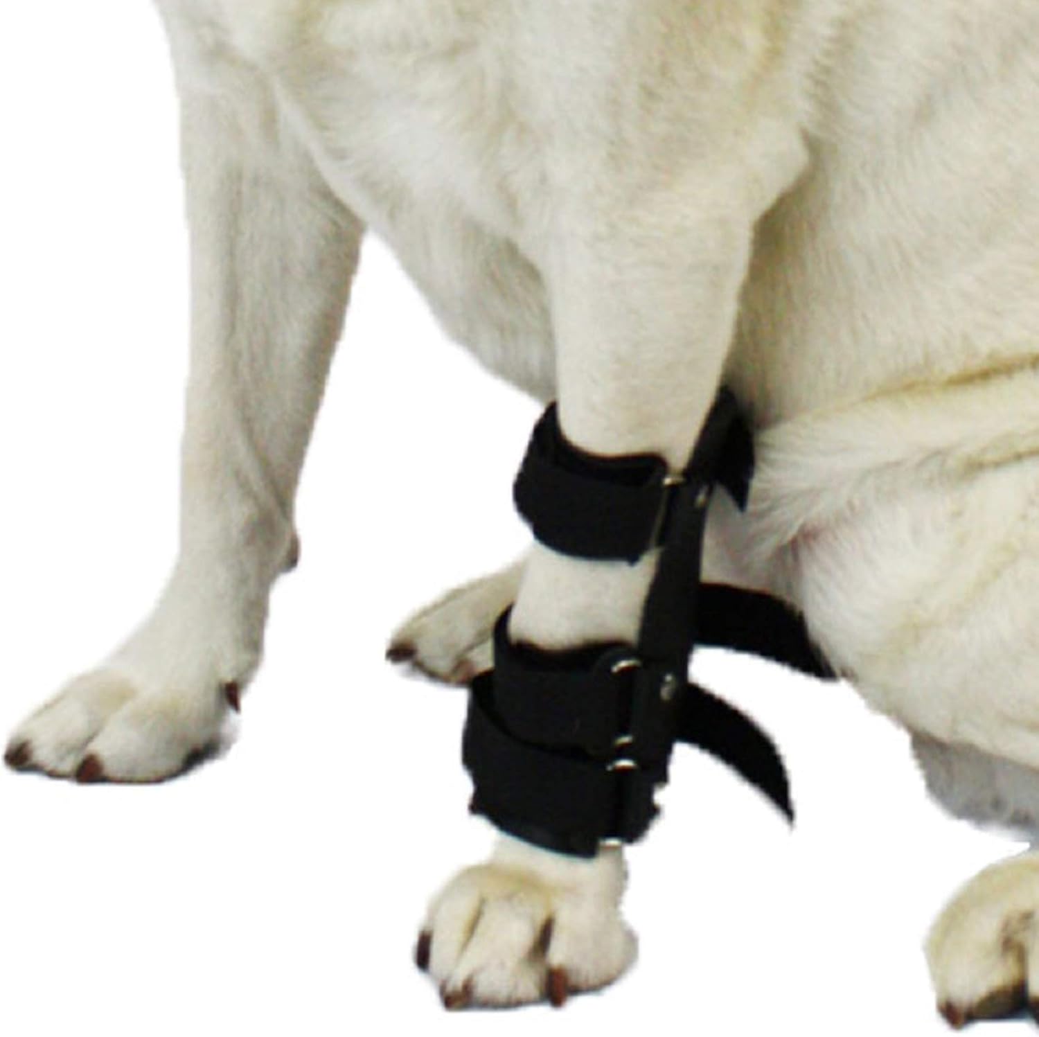 walkin pet splint for dogs
