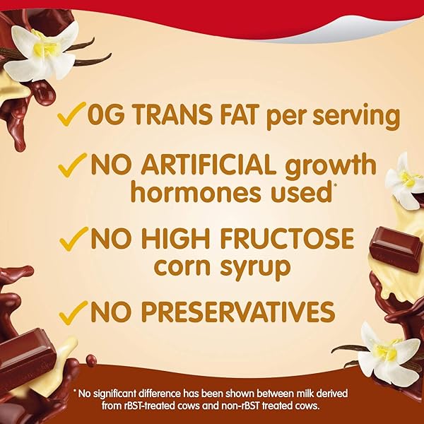 SNACK PACK SUGAR FREE CHOCOLATE AND VANILLA FLAVORED PUDDING FAMILY PACK, 12 COUNT PUDDING CUPS