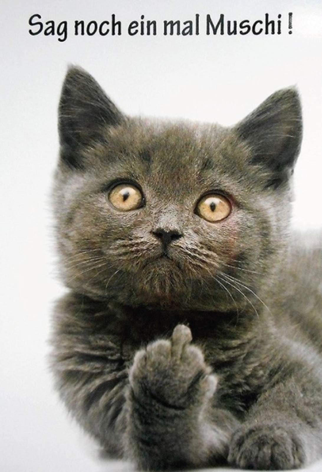 Schatzmix Tin Sign, Sheet metal, 20x30 cm