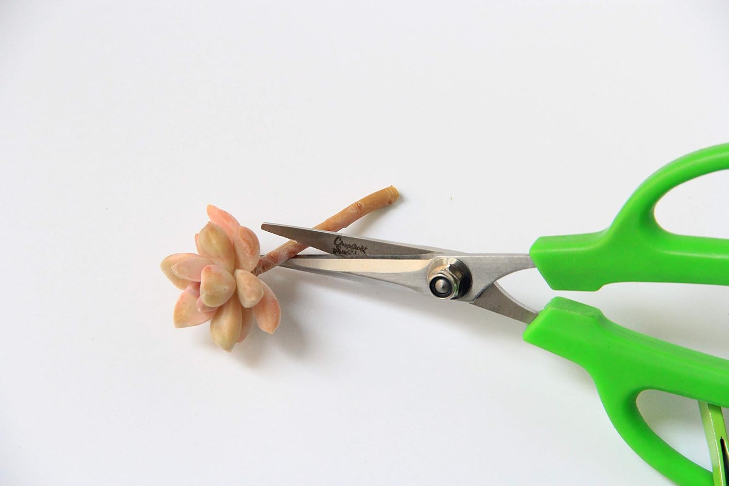 Gardening Scissors: Home Improvement