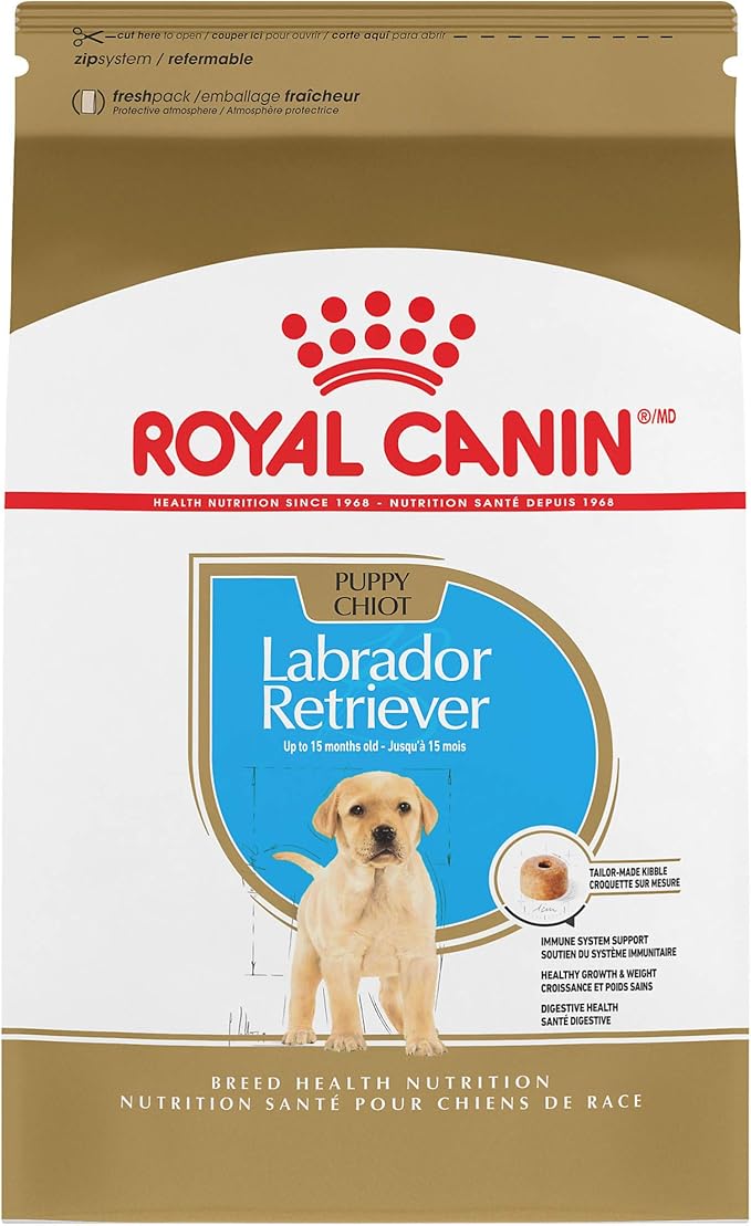 labrador royal canin