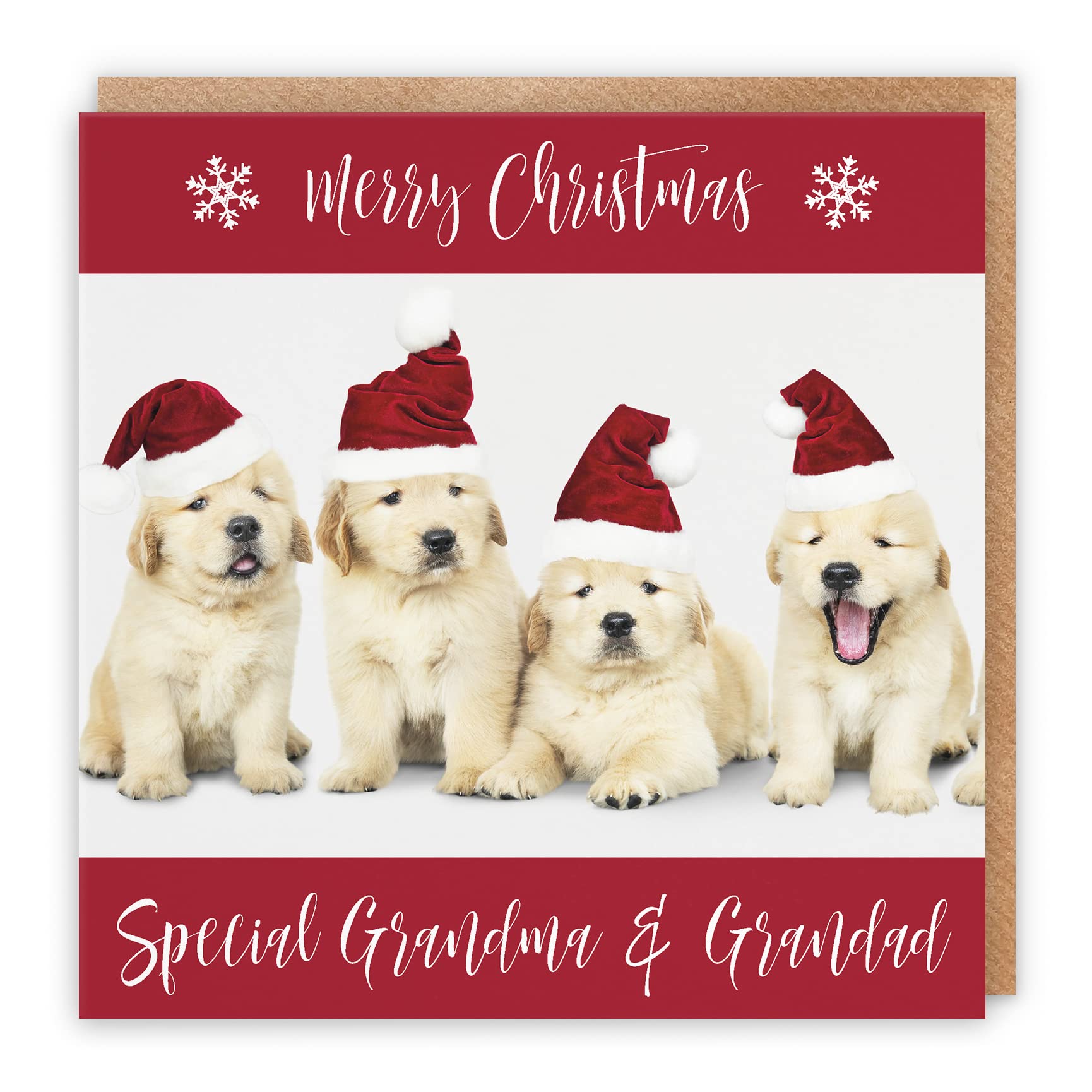 Hunts England - Grandma And Grandad Christmas Card - Special Grandma & Grandad - Puppy Collection - Fun Xmas Card