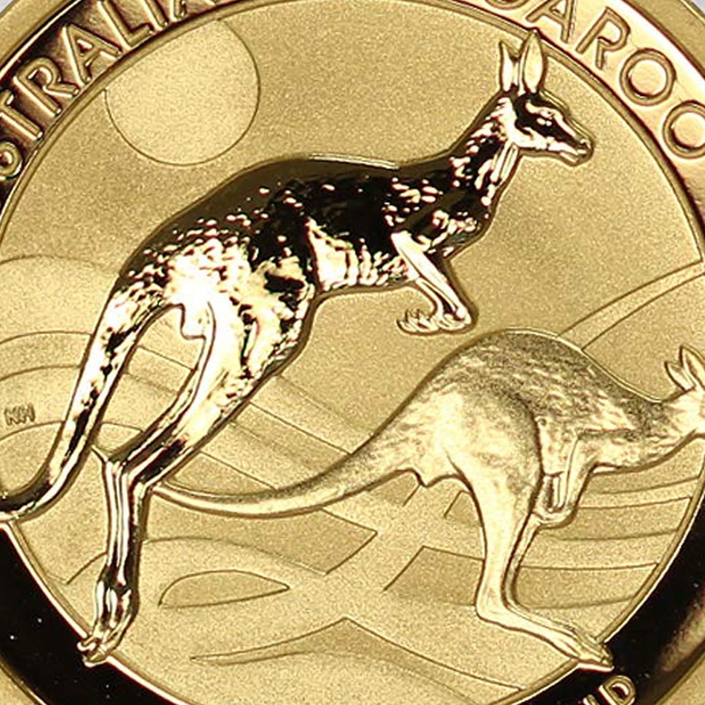1990 - Present (Random Year) 1/2 oz Australian Gold Kangaroo Coin Brilliant Uncirculated (in Capsule) with Certificate of Authenticity $50 BU