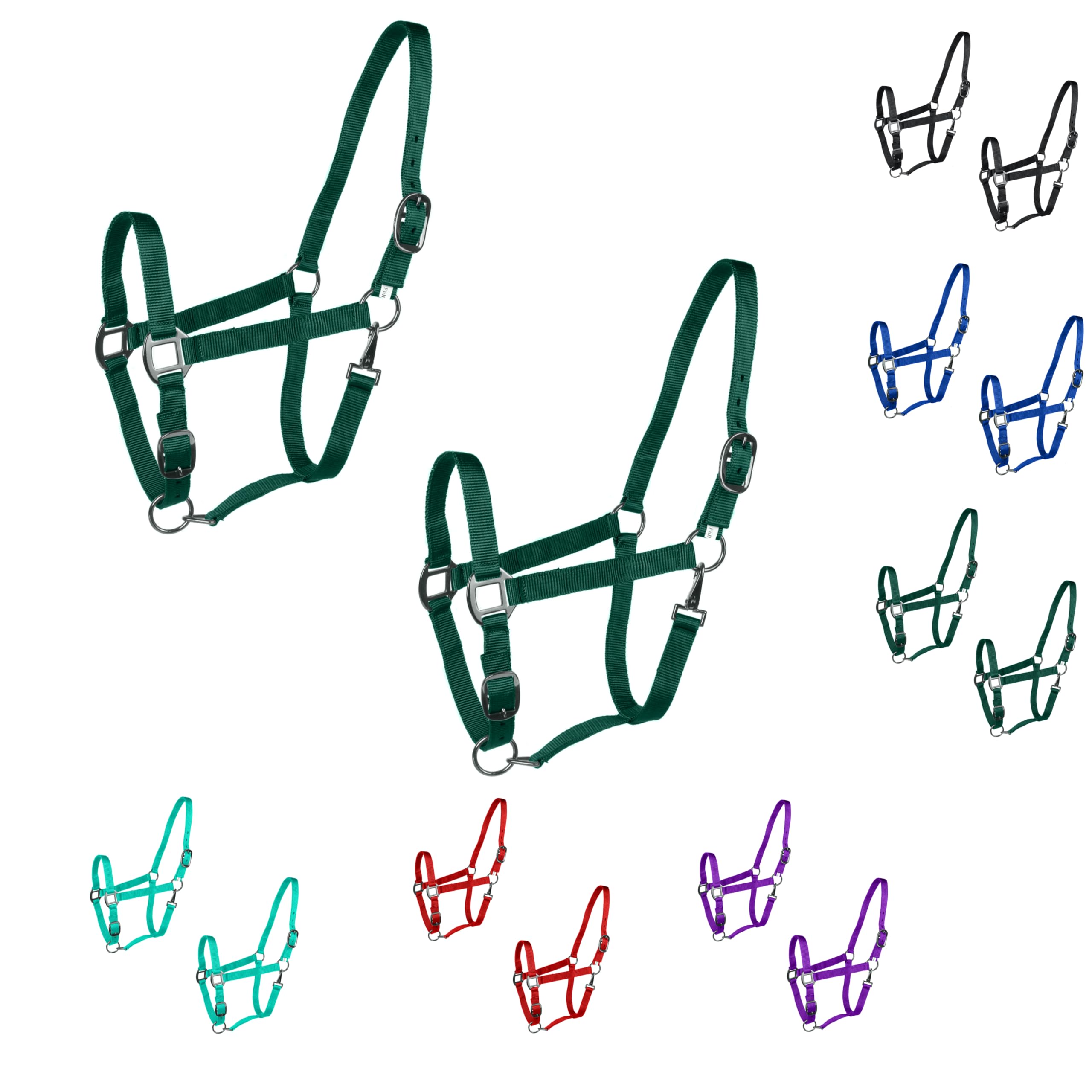 Majestic Ally Pack of 2 Adjustable Headcollar for Horses–Adjustable Chin and Crown– Sewn-in Throat Snap Hook- Full (Hunter Green, Full)