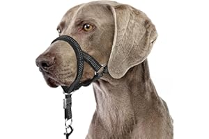 BARKLESS Sturdy No Pull Head Collar for Medium Large Dogs, Gentle Reflective Head Halter with Safety Link, Adjustable Nylon Dog Training Muzzle Leash for Walking Control (Black, L)