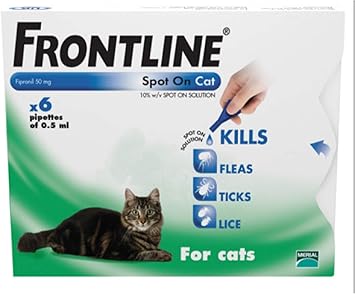 frontline spot on for cats 6 pack