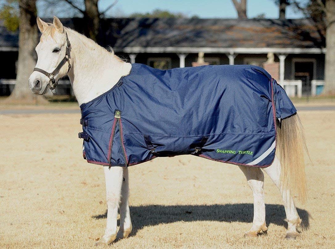 Turtleneck Horse Blankets Findout How to Protect Your Horse