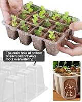 WY8 10 Pack Seed Trays Kit 120 Cells Reusable Dome Base Humidity Adjustable view 7