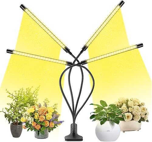 hstcstbl-table__image