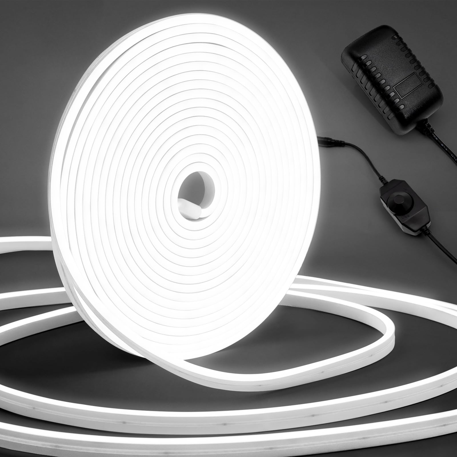 LED Strip Lights 10M, Cool White Neon Light Strip Dimmable, 24V Outdoor LED Strip Light Waterproof 6500K, Silicone DIY Flexible LED Rope Lights for Bedroom, Indoor, Outdoor Decor(Include Adapter)