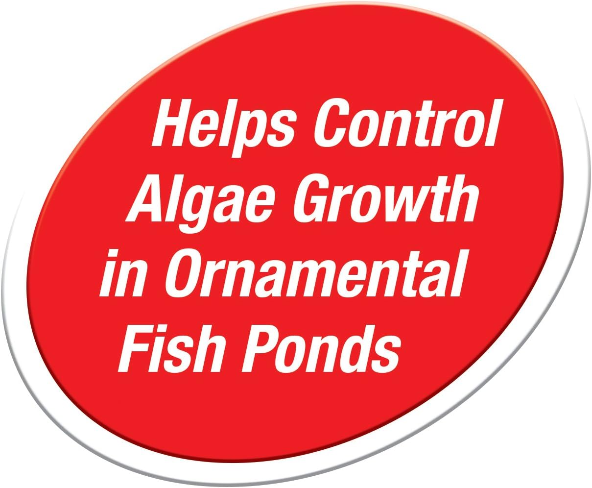 Tetra Pond Fountain Block 6 Count, Controls Algae Growth In Ornamental Fountains: Pet Supplies