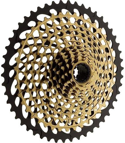 Amazon.com : SRAM Cassette XG-1295 10-50T 12SPD 10-50T Polar