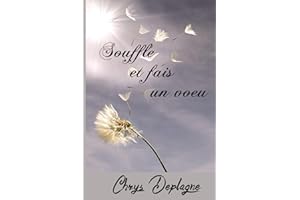 Souffle et fais un voeu (French Edition)