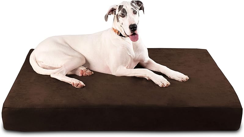 k9 beds amazon
