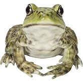 Hi-Line Gift American Bullfrog, Green