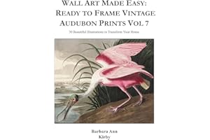 Wall Art Made Easy: Ready to Frame Vintage Audubon Prints Vol 7: 30 Beautiful Illustrations to Transform Your Home