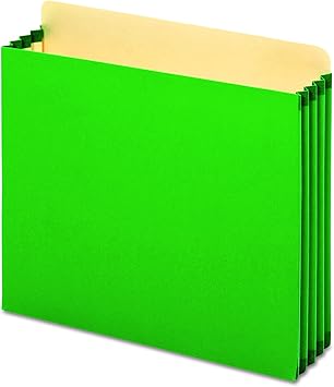 Amazon Com Pendaflex Fc1524pgre File Cabinet Pockets Straight Cut 1 Pocket Letter Green Box Of 10 Expanding File Jackets And Pockets Office Products
