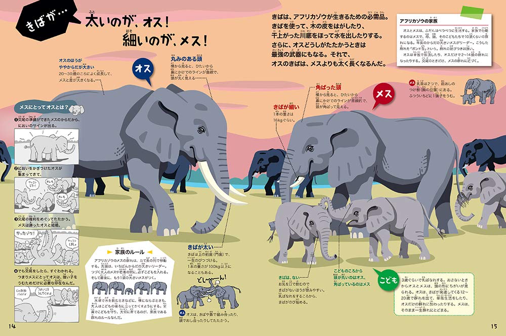 オスメスずかん どっちがオス どっちがメス 新装版 学研の図鑑ｌｉｖｅ どうぶつブック 今泉忠明 友永たろ 高岡昌江 本 通販 Amazon