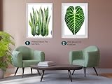 YiPinYin White 50x70cm Picture Frames Set of 3 with Mounts 40x60cm view 3