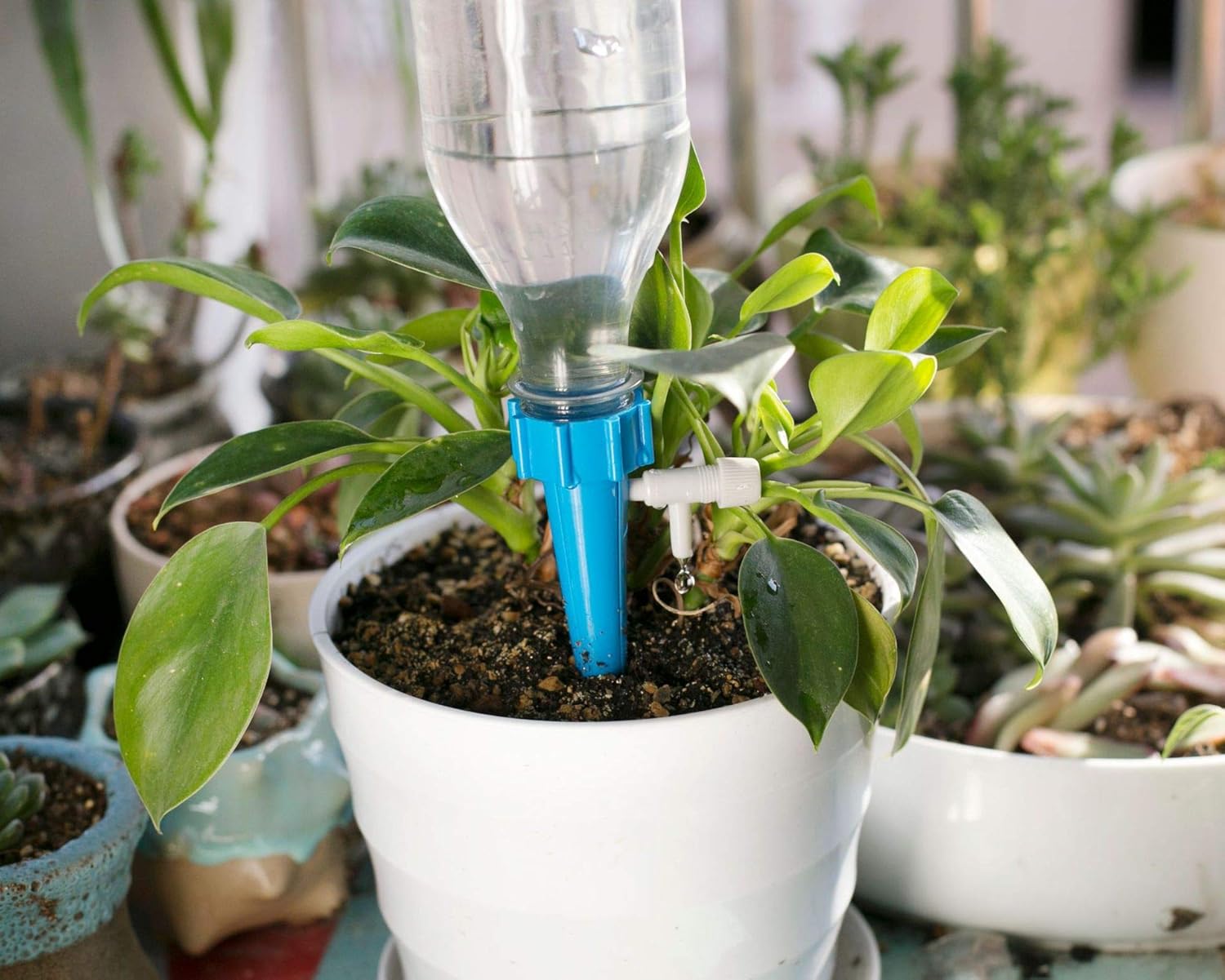 Great for Vacation Automatic Self Watering Stakes System with Slow Release Control Valve Switch