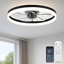 Fszdorj 20'' Ceiling Fan with Light, Upgraded Low Profile