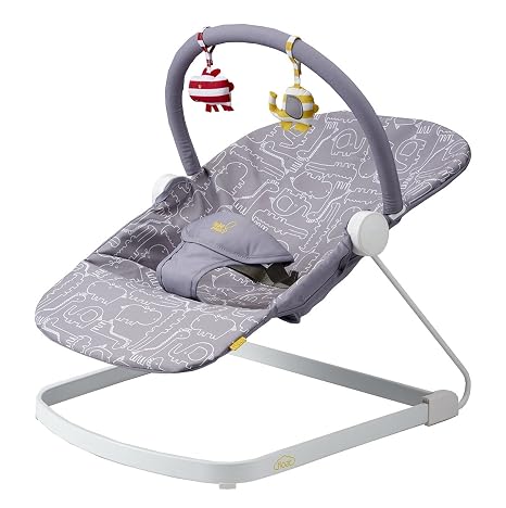 baby bouncer amazon india