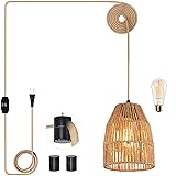 Plug in Pendant Light, Hanging Lights with 15ft