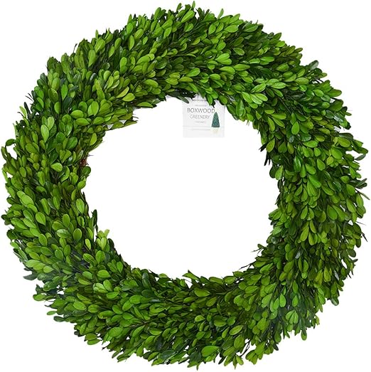 Amazon Com Boxwoodvalley 24 Inch Xx Large Boxwood Wreath