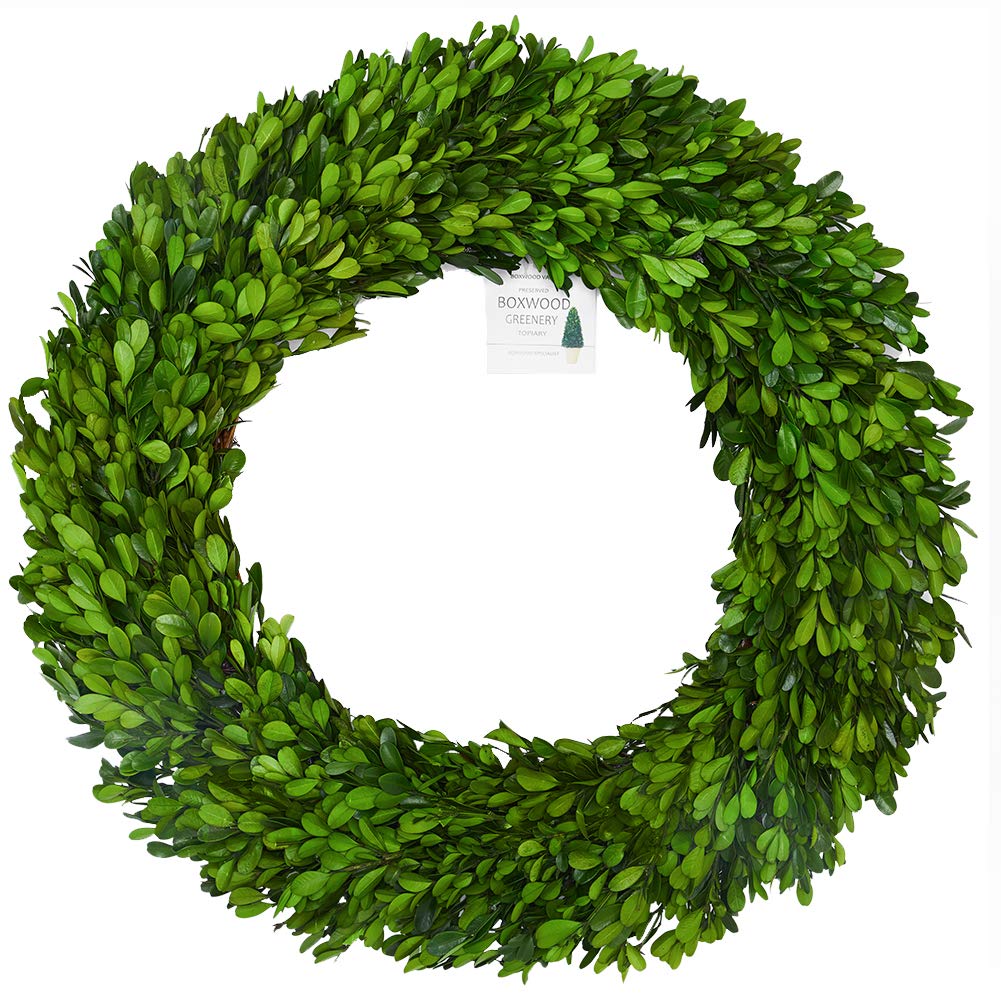 BoxwoodValley 24 inch XX-Large Preserved Boxwood Wreath, Wedding Home Decoration, Farmhouse Style Realistic Full Green Real Boxwood Wreath, Indoor Décor for Halloween, Christmas Wreath (Wreath, 24")