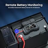 Renogy Shunt 300A with Built-in Bluetooth Battery Monitor view 2