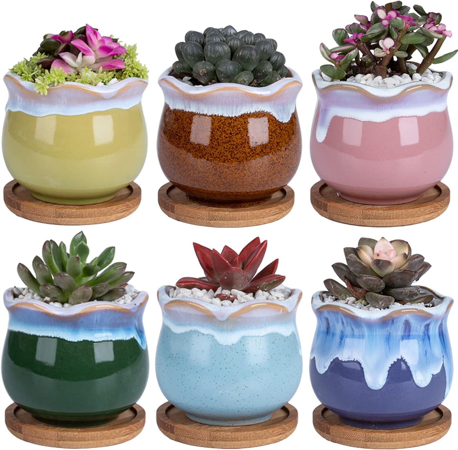 Ceramic Succulent Planters Garden Pots - DAFFBOX 2.75 Inch Small Ceramic Pots for Plants, Succulents, Cactus, Aloe, Plant Pots with Hole Mesh Pads and Waterproof Trays, Set of 6(Plants Not Included)