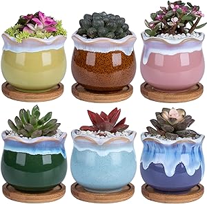 Ceramic Succulent Planters Garden Pots - DAFFBOX 2.75 Inch Small Ceramic Pots for Plants, Succulents, Cactus, Aloe, Plant Pots with Hole Mesh Pads and Waterproof Trays, Set of 6(Plants Not Included)
