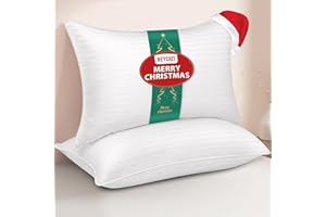 HEYCUZI Queen Size Bed Pillows - Premium Down Alternative Cooling Pillows Set of 2 for Side, Back, and Stomach Sleepers Fluffy Hotel Quality Soft Microfiber Fill Breathable Skin-Friendly