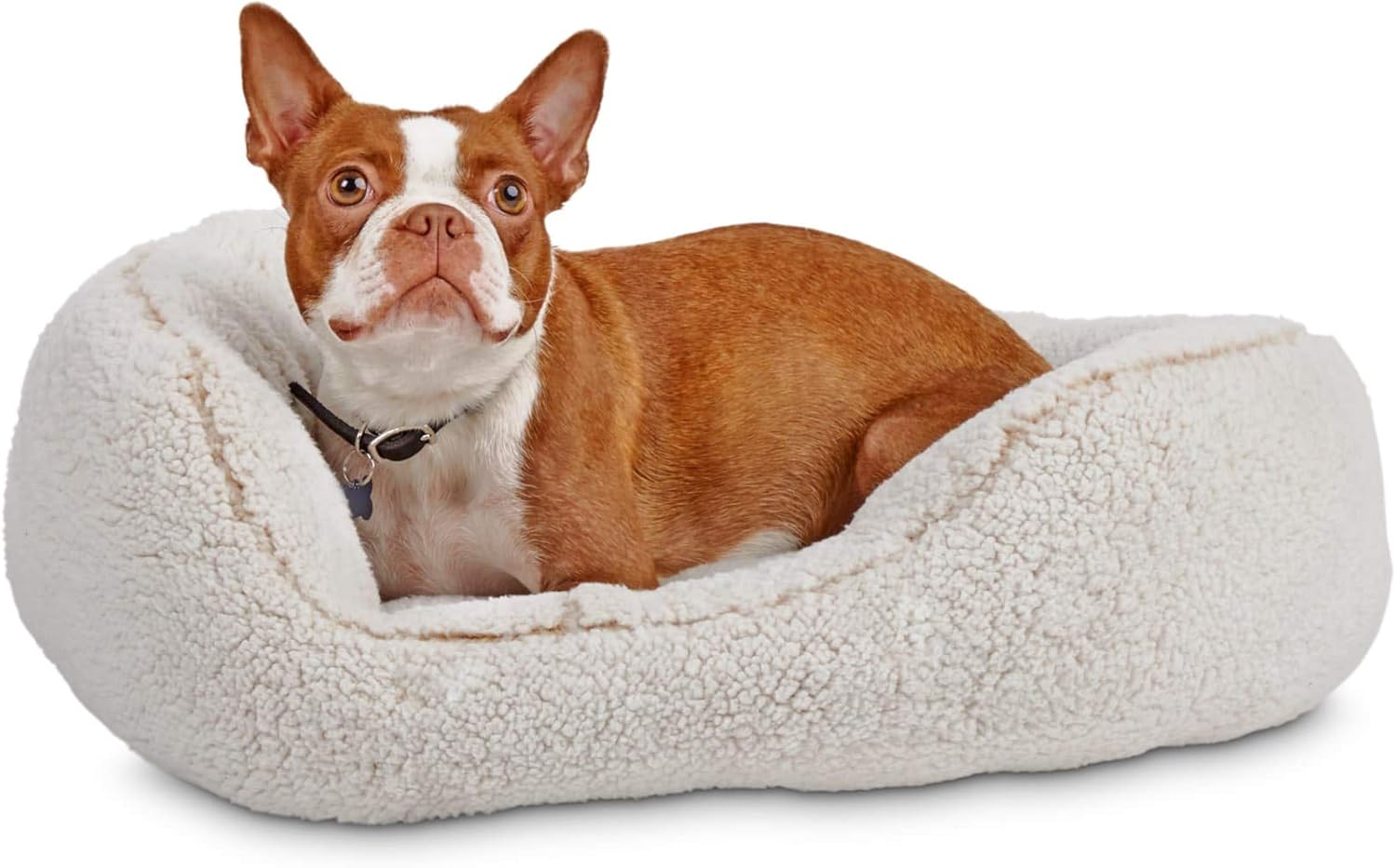 harmony dog bed