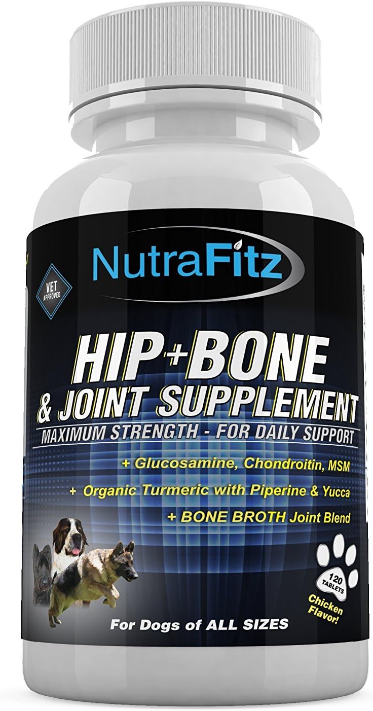 best bone and joint supplement for dogs