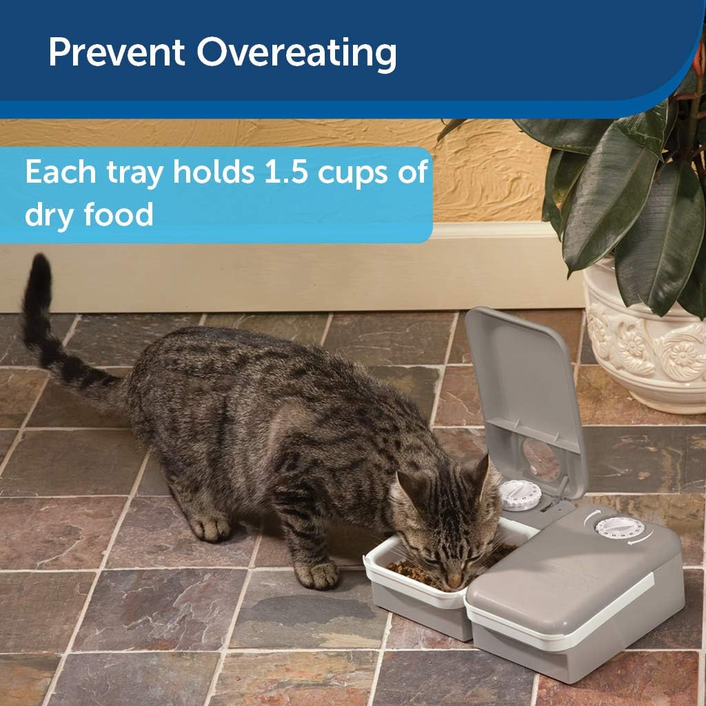 Pet Supplies : PetSafe Automatic 2 Meal Pet Feeder with Battery Powered Programmable Timer, 3 Cups Total Capacity, Cat and Small to Medium Dog Food Dispenser : Pet Self Feeders : 