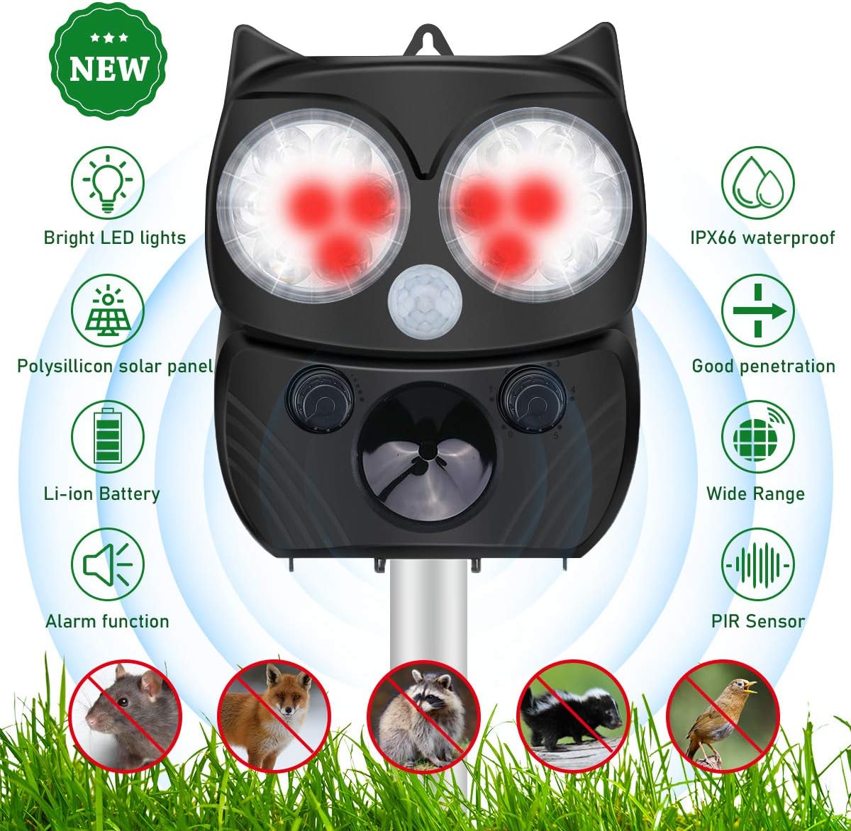 Top 10 Best Garden Cat Deterrents in 2024 Feature Gardens