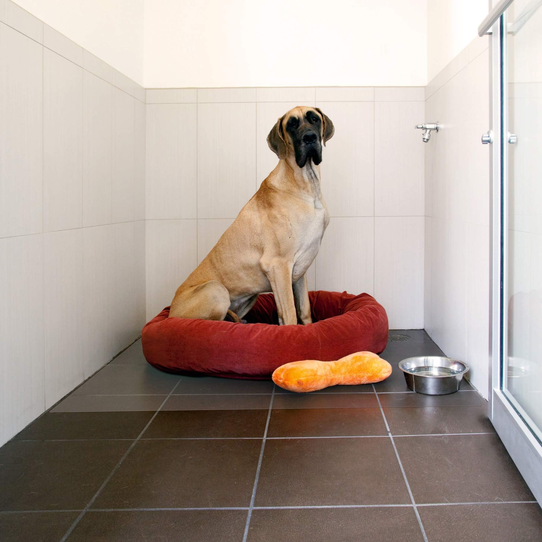 Floortex FPPET3046EV4 Protective Floor Mat Pet Posture, Transparent