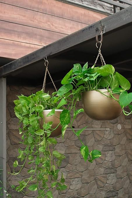 Homspurts Export Quality Metal Hanging Pots with Chains for Indoor (Pack of 2 - Small, Big)