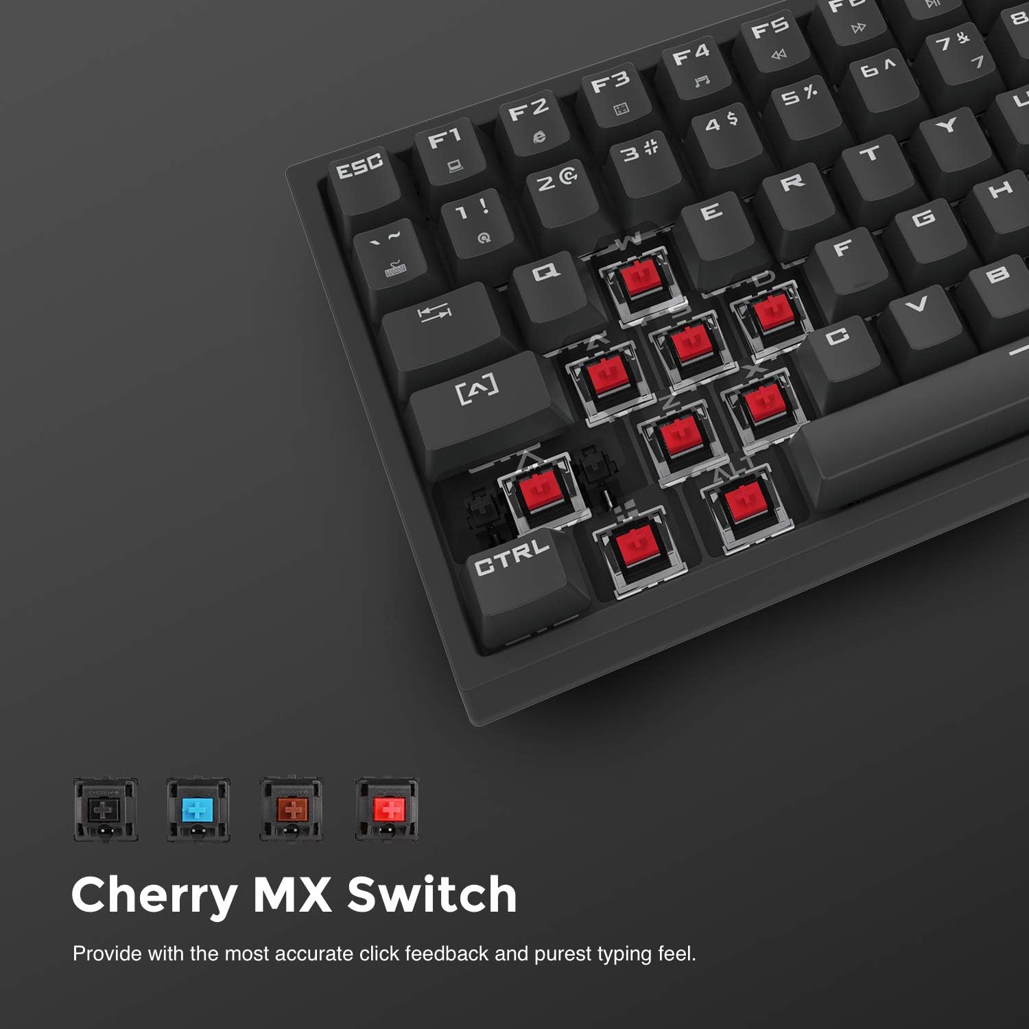 Keyboards Electronics DREVO Gramr 84-Key Cherry MX Red Switches 75% TKL
