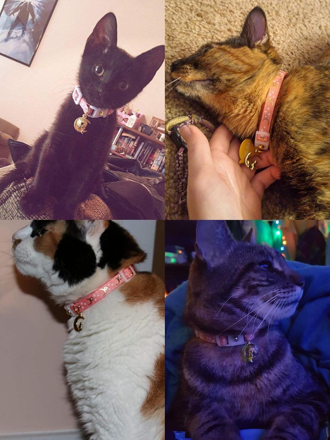 moon and stars cat collar