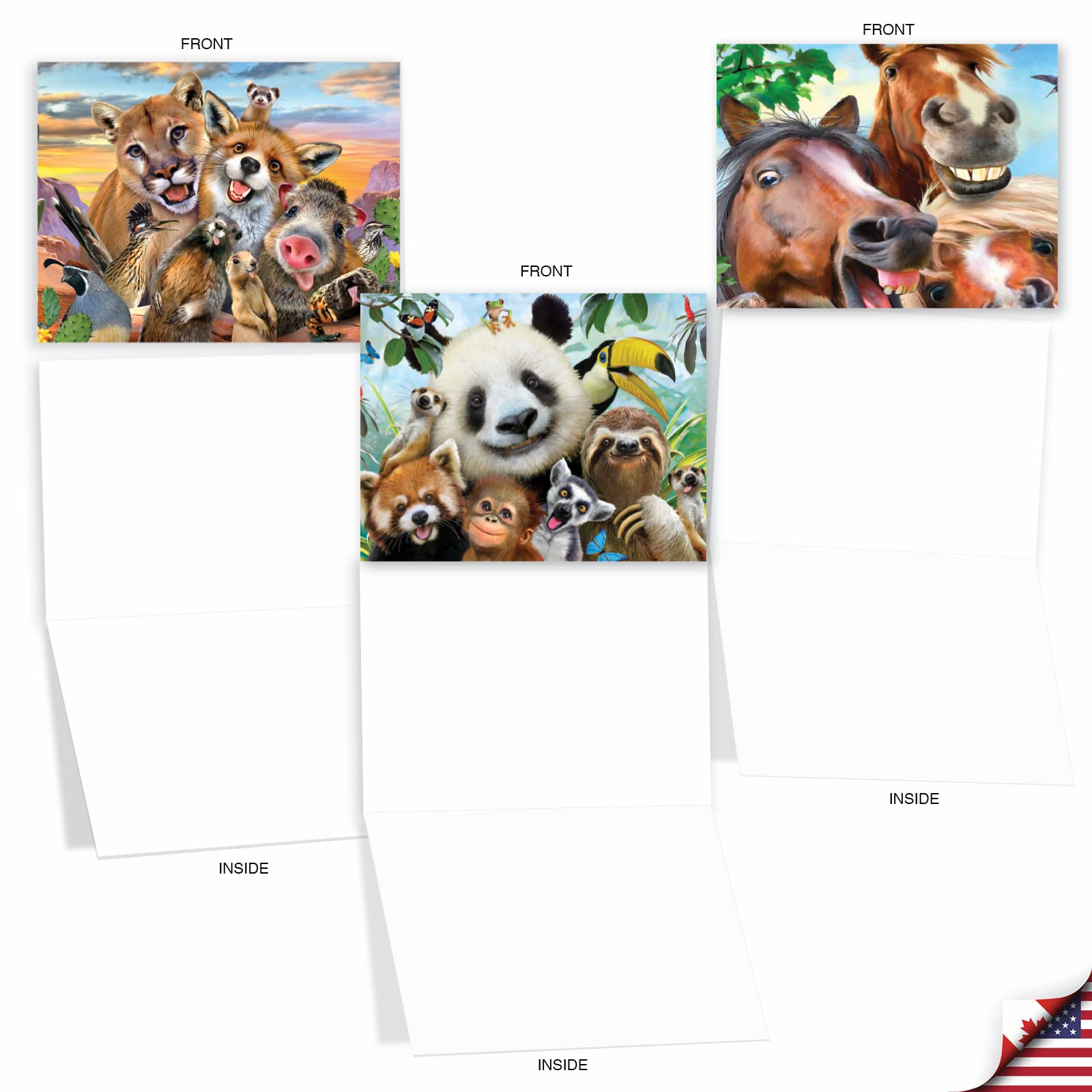 The Best Card Company - 10 Blank Animal Cards Box Set (4 x 5.12 Inch) - Bulk Assorted Pets, Horses, Wildlife Cards for Kids, Camp - Here's Looking at Zoo M6639OCB