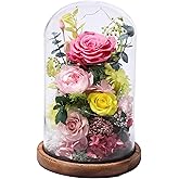 lovenfold Flowers for Delivery Preserved Flowers Rose in Glass Dome,Pink Rose Forever Flowers Birthday Gifts for Women Mom Grandma Friend for Her,Home Decor