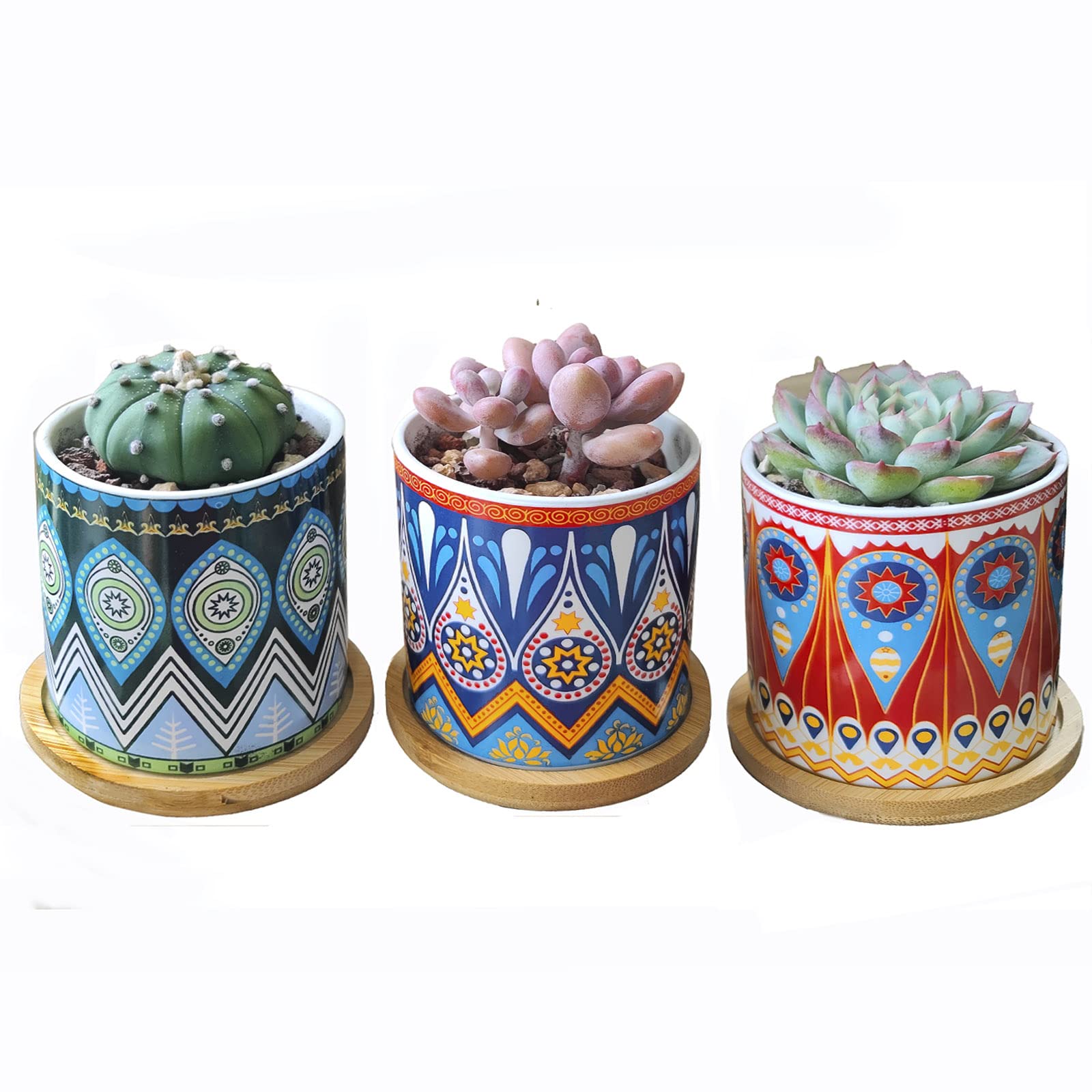 Hosmore Succulent Pots, Planter Pot with Drainage and Bamboo Tray Small Plant Pots Cactus Mini Flowers Pots with Saucer Garden Pots, Pack of 3 (Mandala)