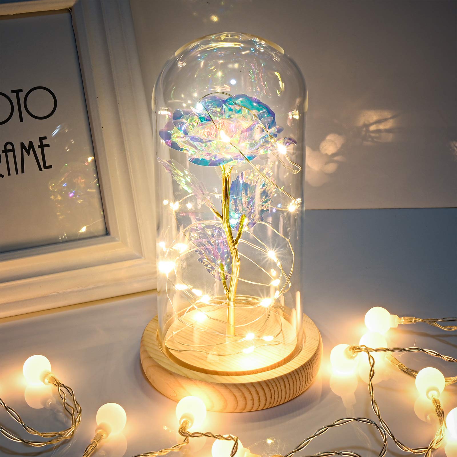 NOE TKLake Rose Flower Gift - Beauty and The Beast Rose with Led Light in Glass Dome on Wooden Base Gift for Her Wife Christmas, Valentine's Day, Mother's Day, Wedding Anniversary (Warm White)