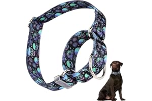 HIDAKEAI Martingale Collar for Dogs, Small Boy Dog Collar with Skull Patterns, Adjustable Heavy Duty No Pull Dog Collar Durable and Comfortable, Perfect for Training, Walking, Hunting (S)