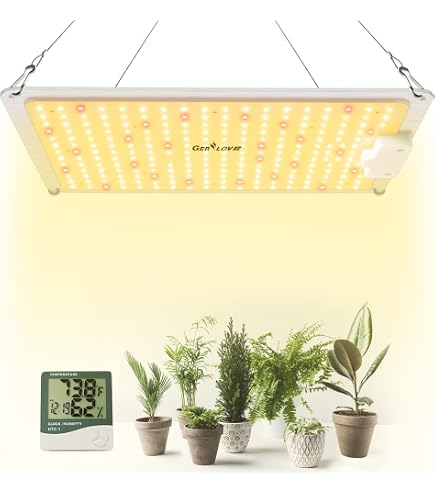 Horticulture Lighting Group HLG Blackbird 600W 120V LED Quantum