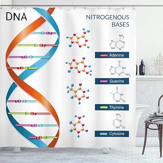 Amazon Com Ambesonne Educational Shower Curtain Dna Bases