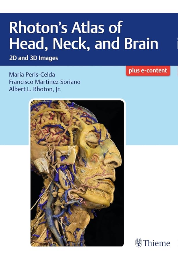 Amazon.com: Rhoton Cranial Anatomy and Surgical Approaches
