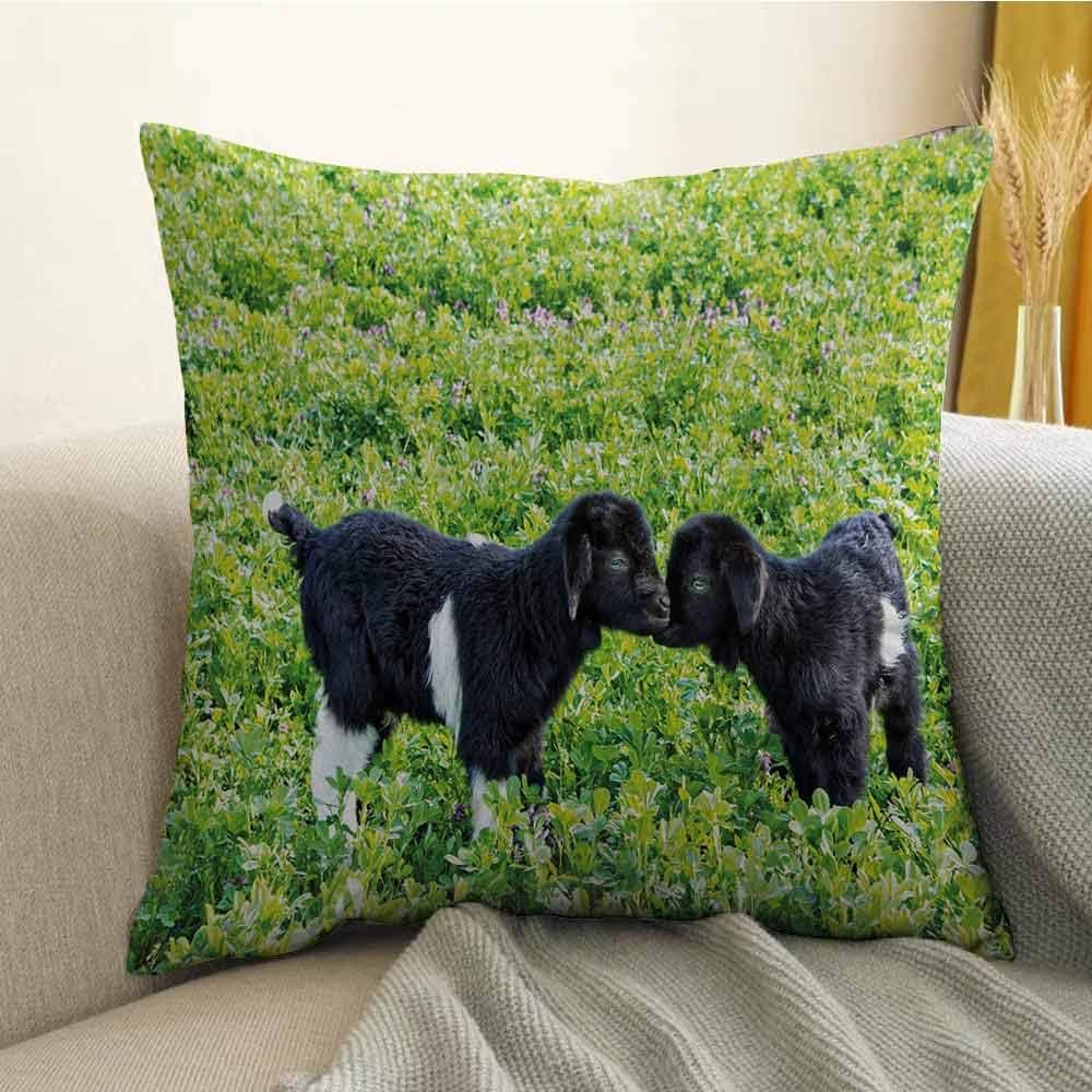 Best Bruno Mars Flowers Cover